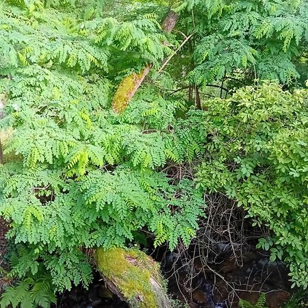 Cazare La Oana Hateg Bagian luar foto