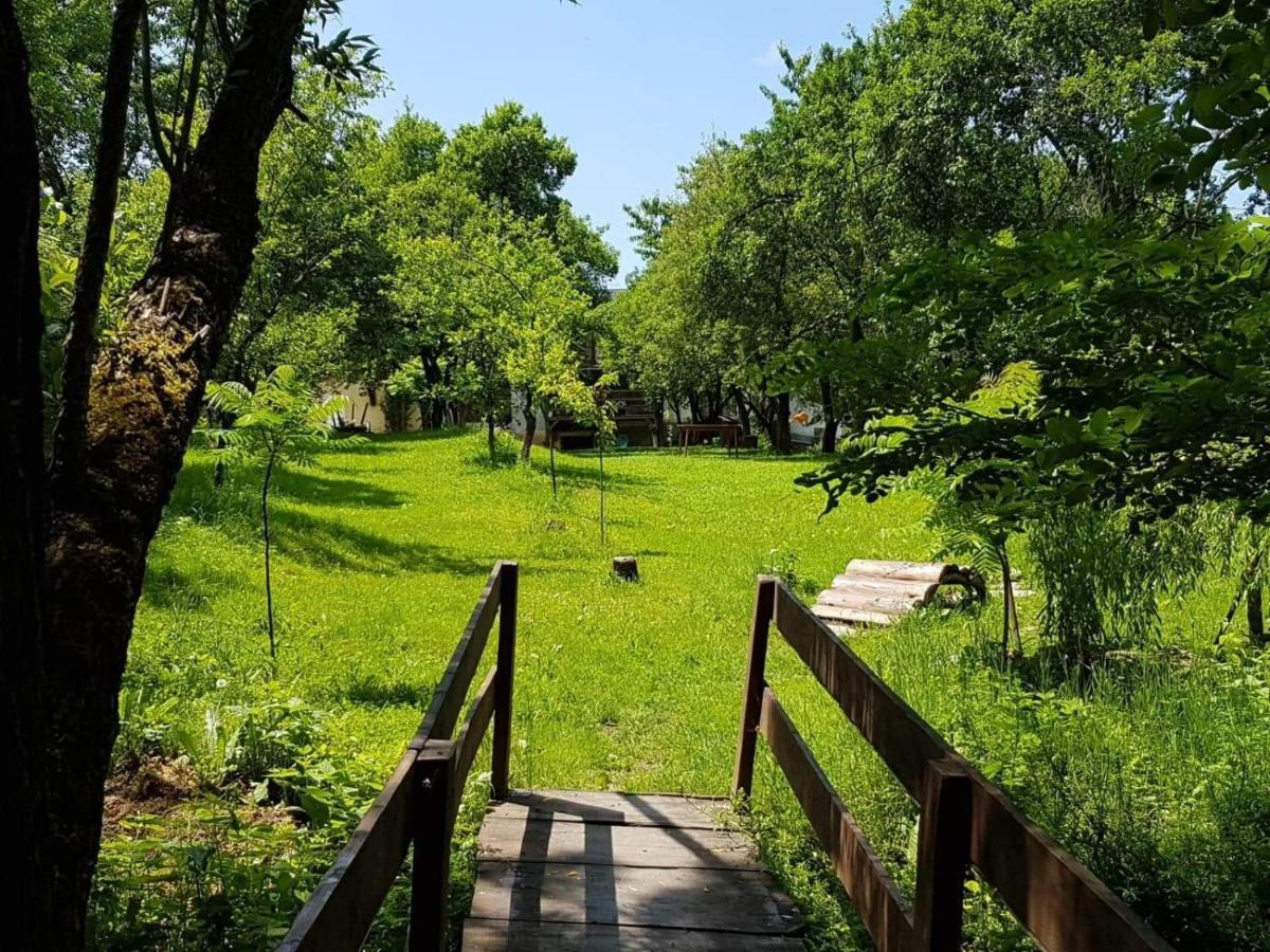 Cazare La Oana Hateg Bagian luar foto