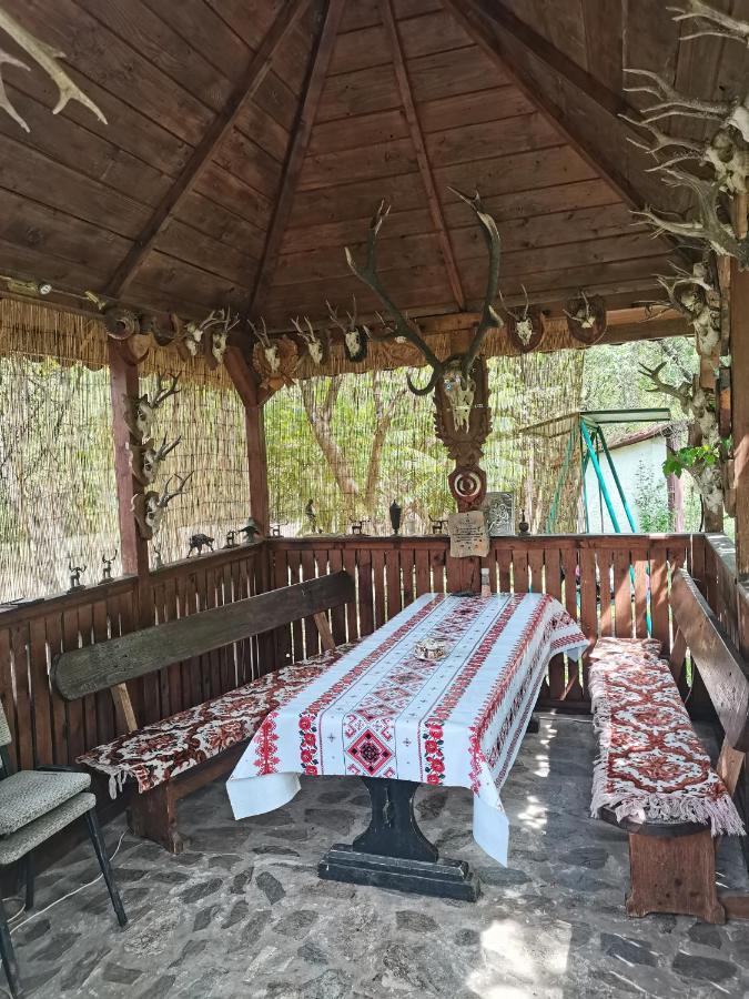 Cazare La Oana Hateg Bagian luar foto