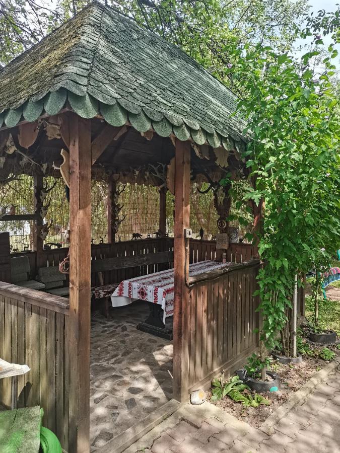 Cazare La Oana Hateg Bagian luar foto