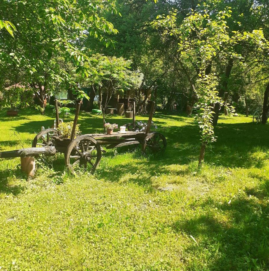 Cazare La Oana Hateg Bagian luar foto