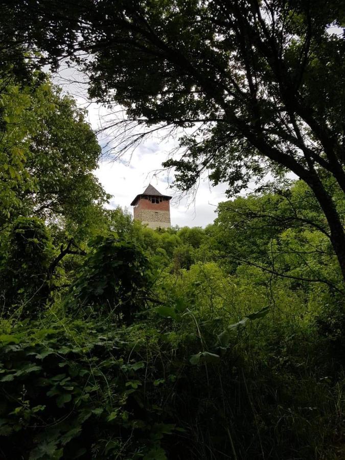 Cazare La Oana Hateg Bagian luar foto