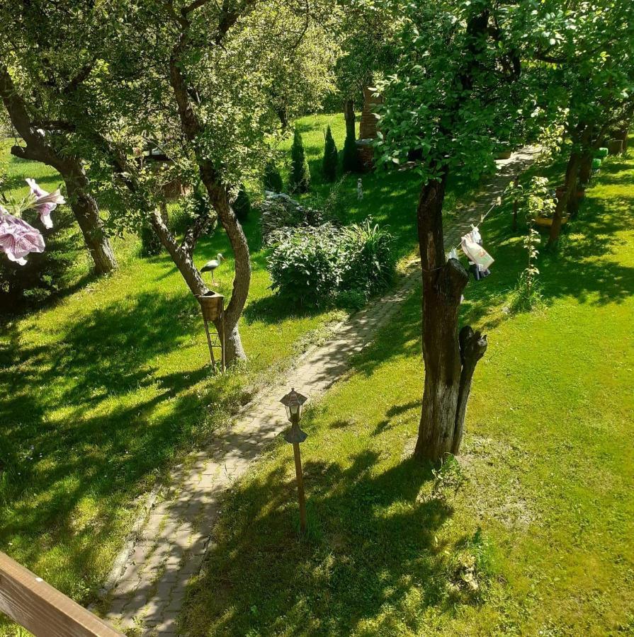 Cazare La Oana Hateg Bagian luar foto
