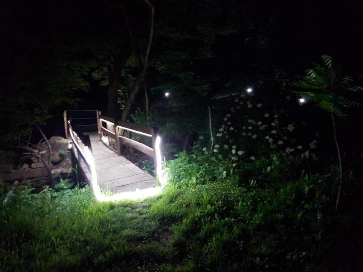 Cazare La Oana Hateg Bagian luar foto