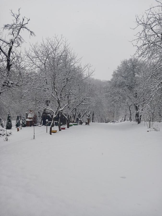 Cazare La Oana Hateg Bagian luar foto