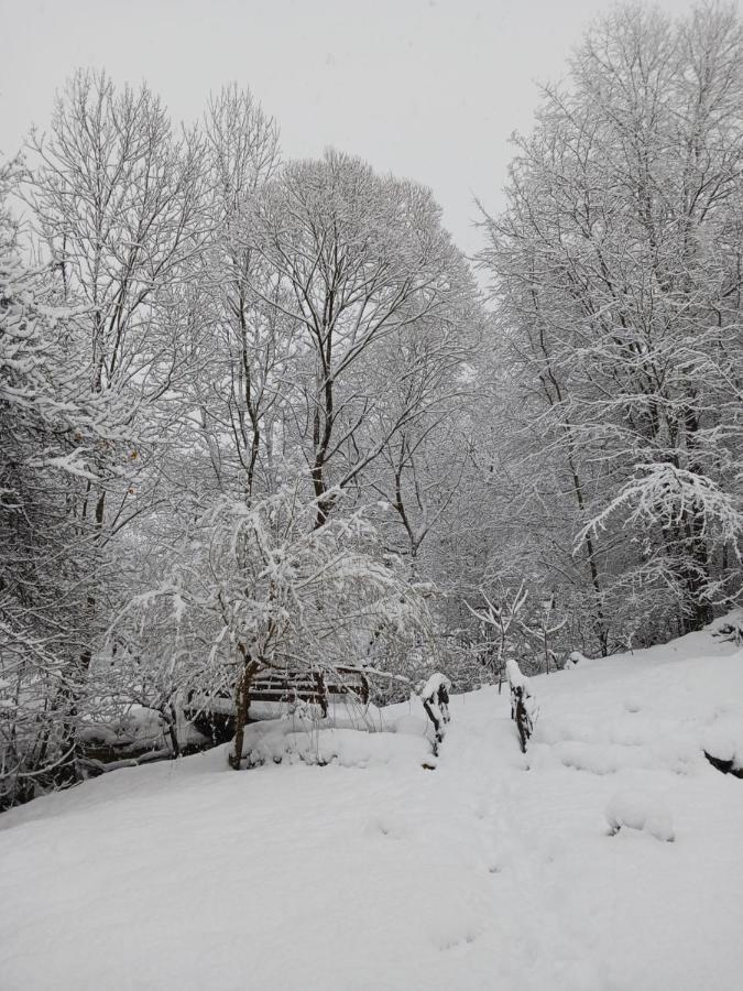 Cazare La Oana Hateg Bagian luar foto