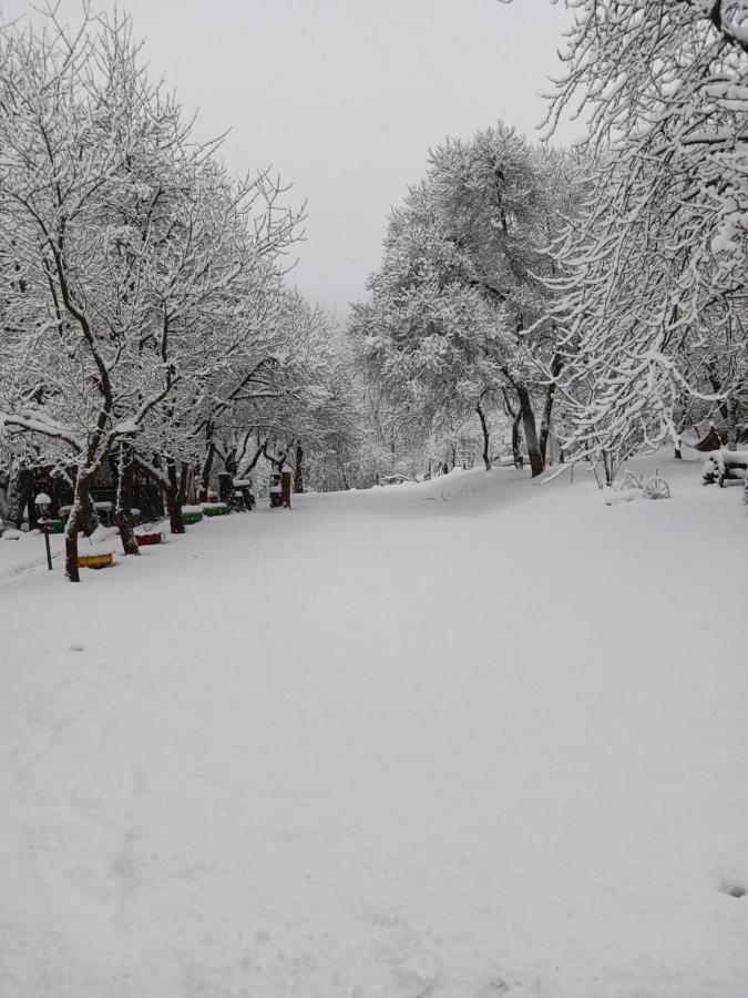 Cazare La Oana Hateg Bagian luar foto