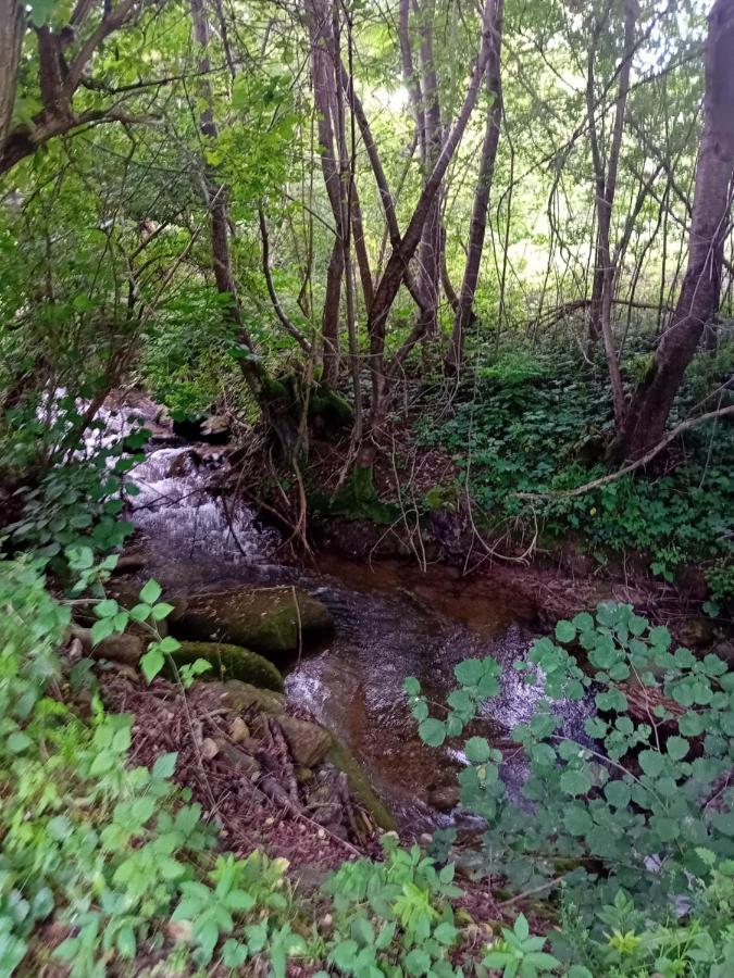 Cazare La Oana Hateg Bagian luar foto