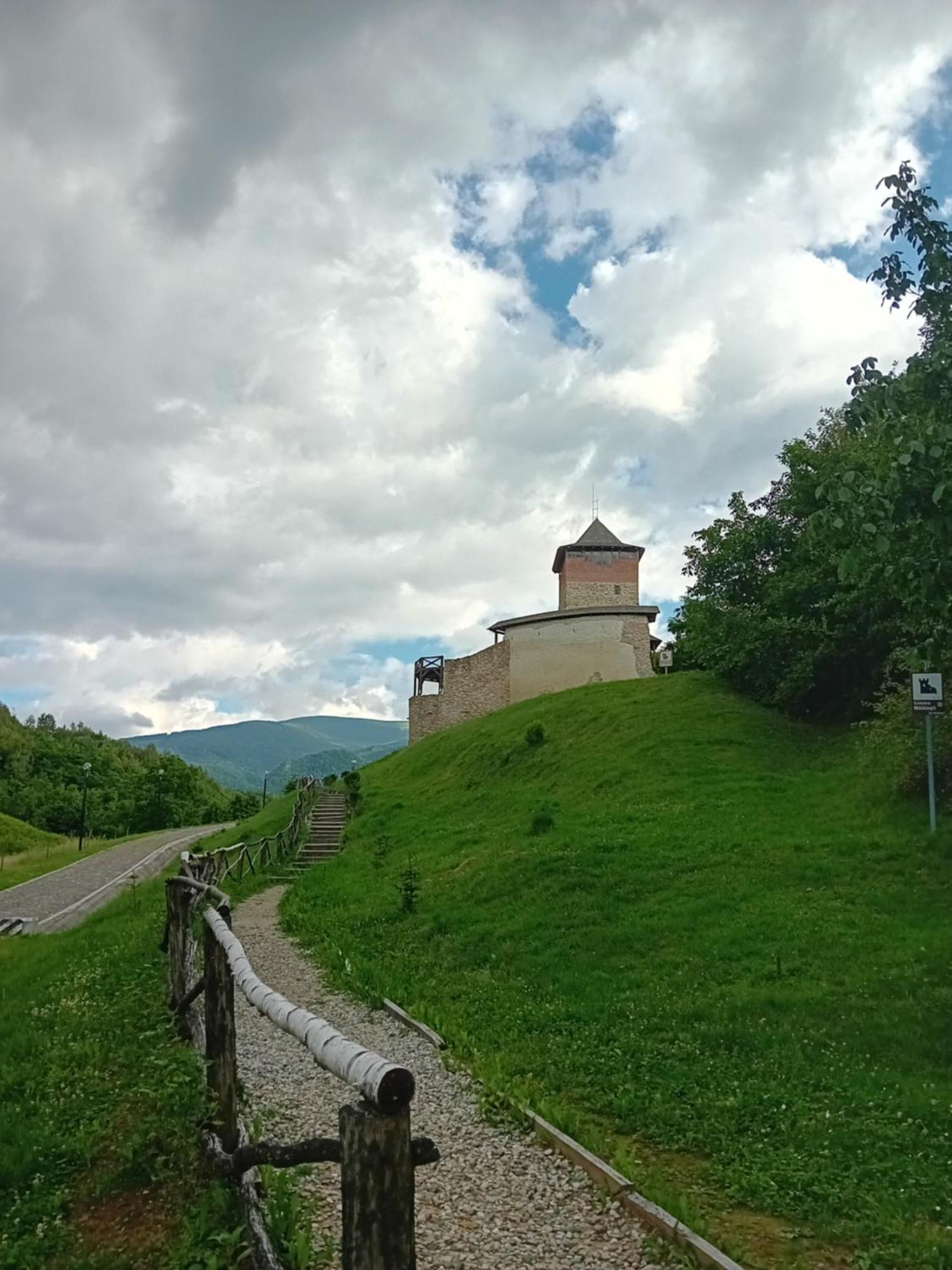 Cazare La Oana Hateg Bagian luar foto