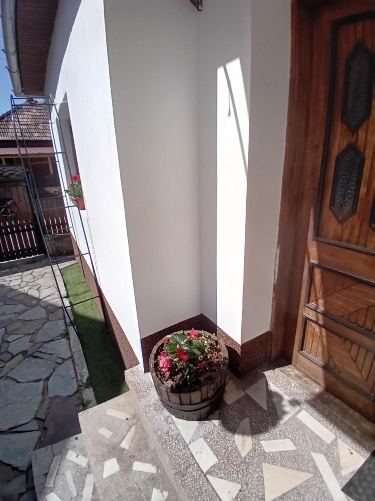 Cazare La Oana Hateg Bagian luar foto