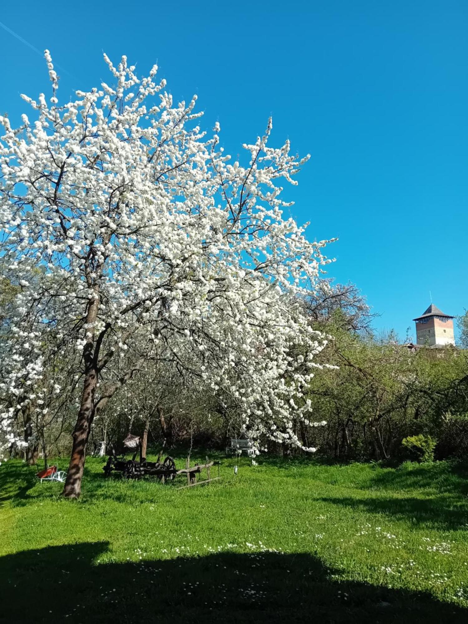 Cazare La Oana Hateg Bagian luar foto