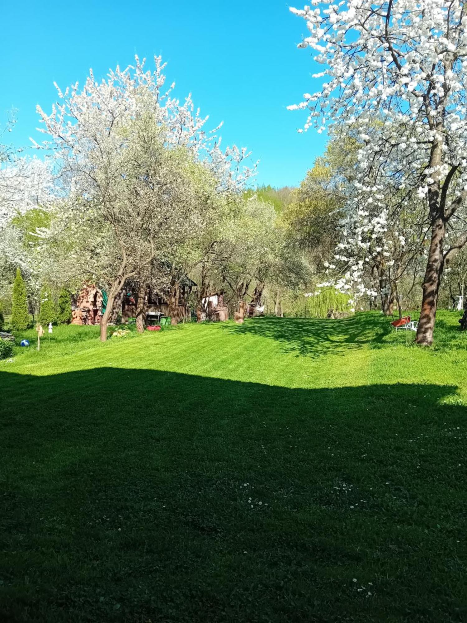 Cazare La Oana Hateg Bagian luar foto